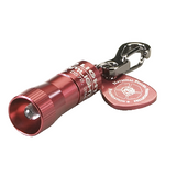 Nano Led Flashlight Keychain