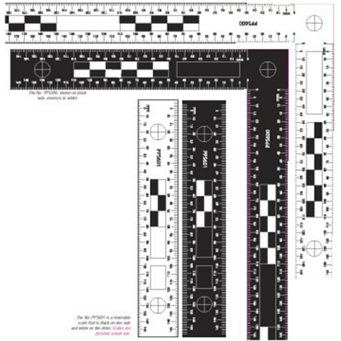 Reversible Scales